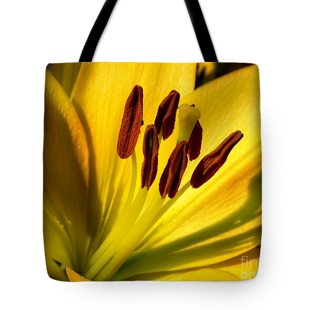 Diane Berry Tote Bag featuring the photograph Morning Yellow by Diane E Berry