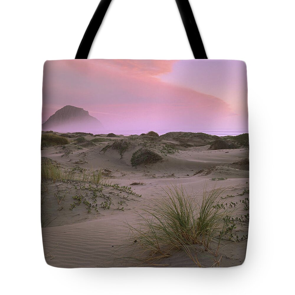 00176695 Tote Bag featuring the photograph Morro Rock At Morro Bay California by Tim Fitzharris