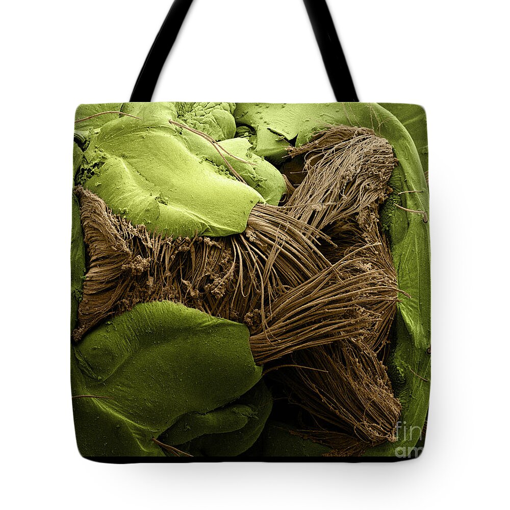 Mosquito Tote Bag featuring the photograph Mosquito Larva, Sem by Ted Kinsman