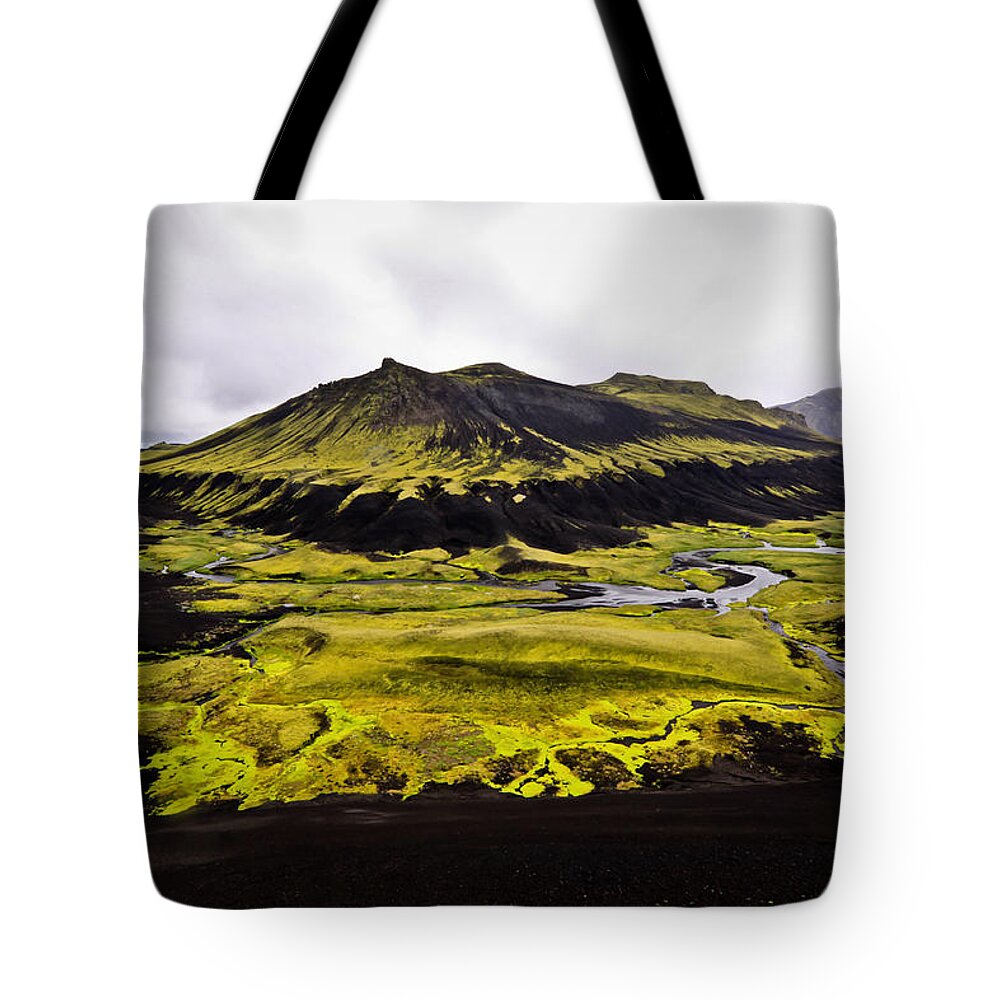 Moss Tote Bag featuring the photograph Moss in Iceland by Tom and Pat Cory
