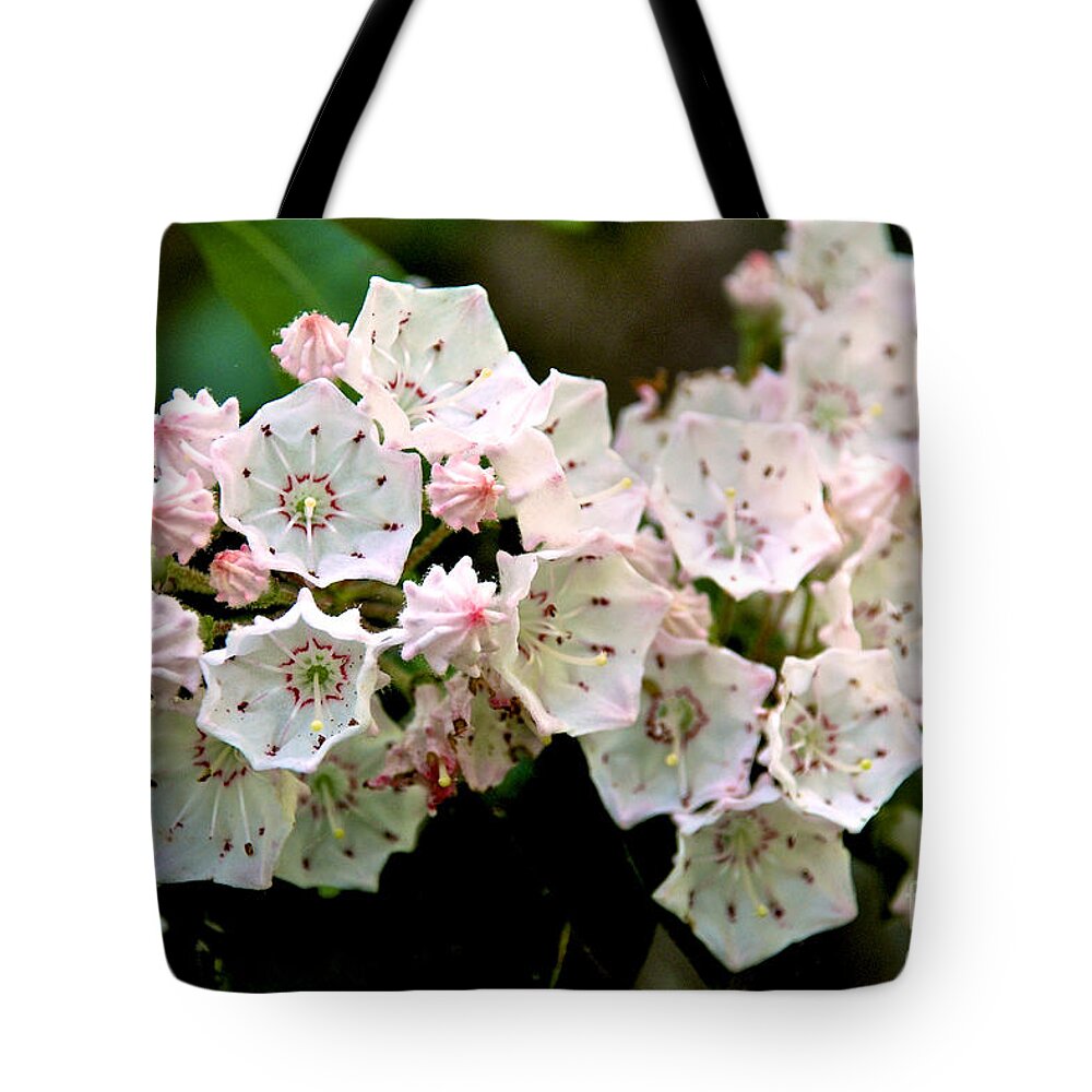 Mountain Laurel Tote Bag featuring the photograph Mountain Laurel Flowers by Mark Dodd
