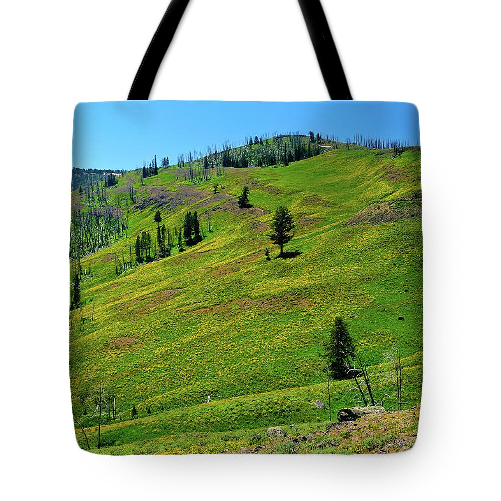 Yellowstone National Park Tote Bag featuring the photograph Mountain Meadow by Greg Norrell