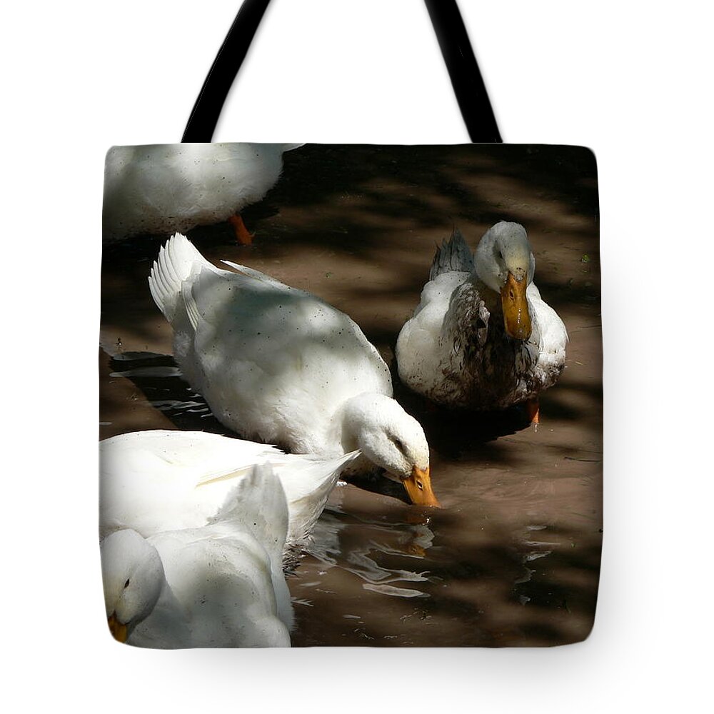 Duck Tote Bag featuring the photograph Muddy Ducks by Laurel Best