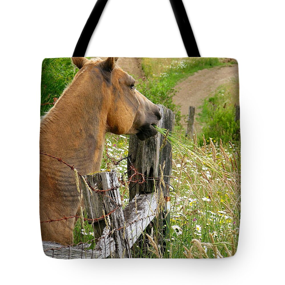 Horse Tote Bag featuring the photograph Munching On Daisies by Rory Siegel