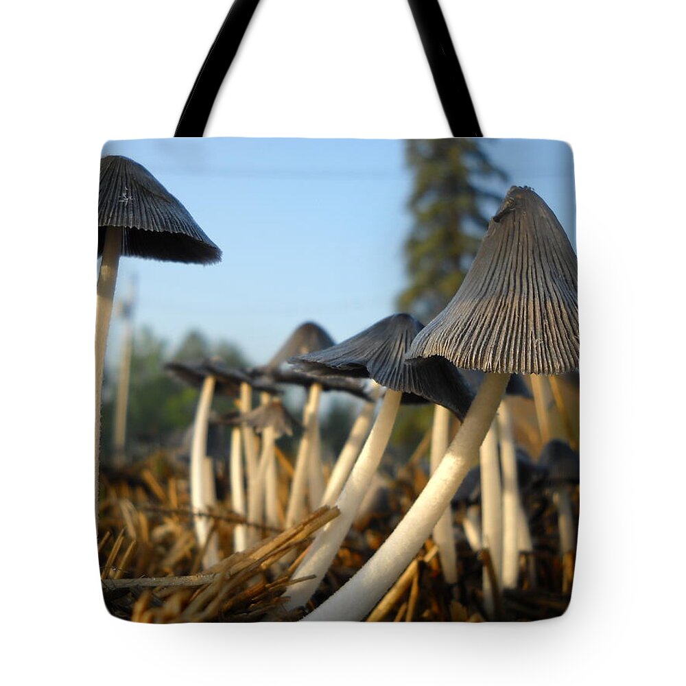 Mushroom Tote Bag featuring the photograph Mushroom Leaning to the Right by Kent Lorentzen