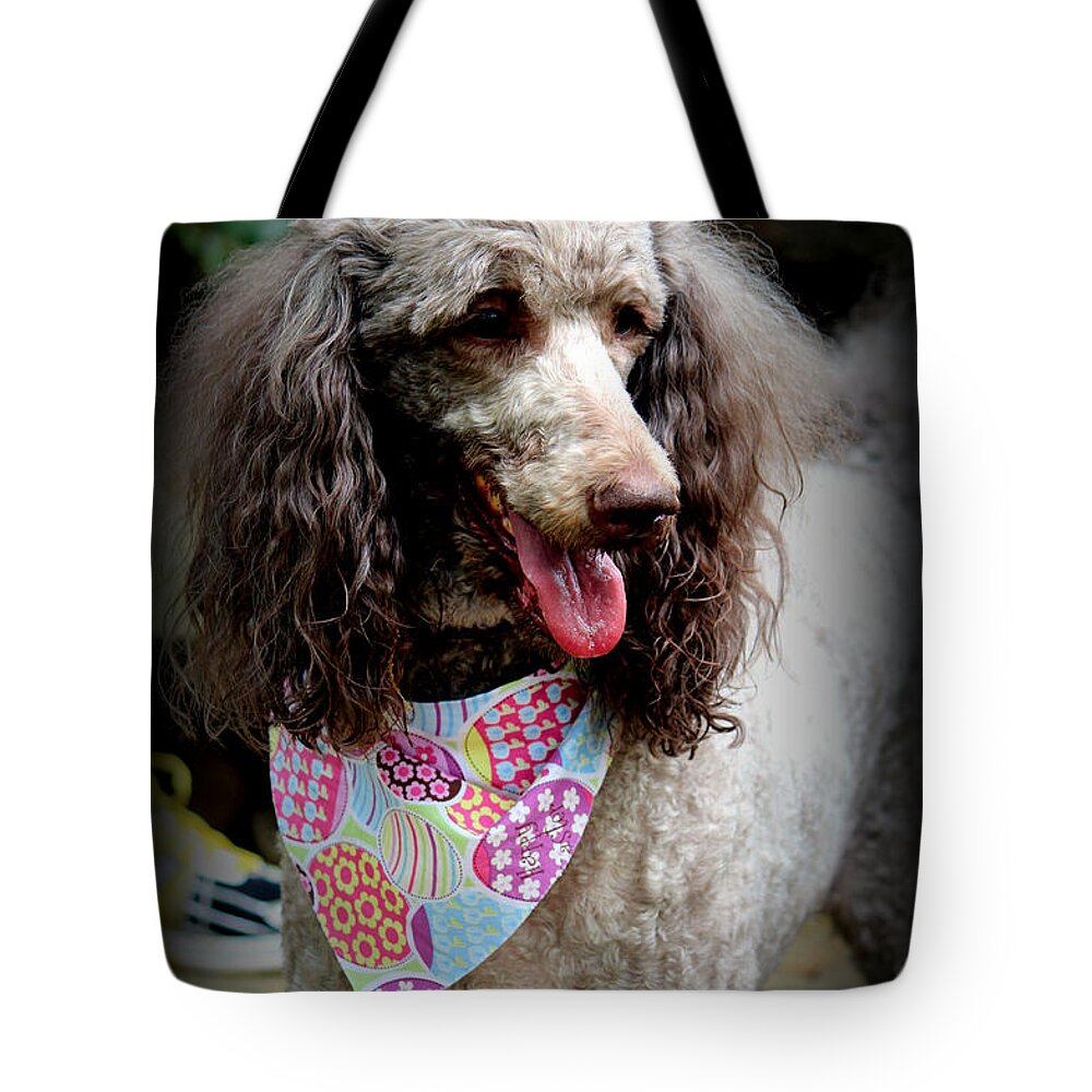Poodle Tote Bag featuring the photograph My Easter Finery by Kathy White