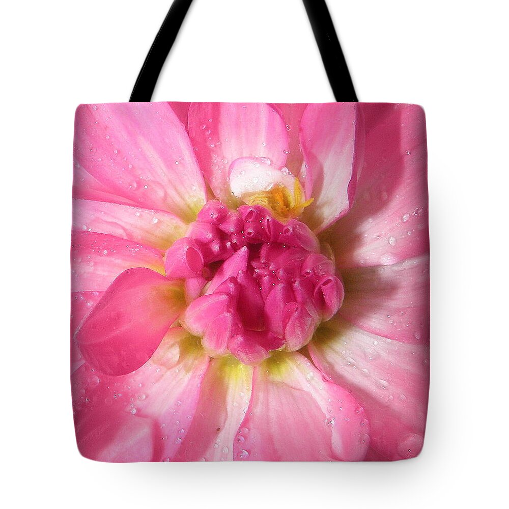 Dahlia Tote Bag featuring the photograph My Name Is Dahlia by Kim Galluzzo