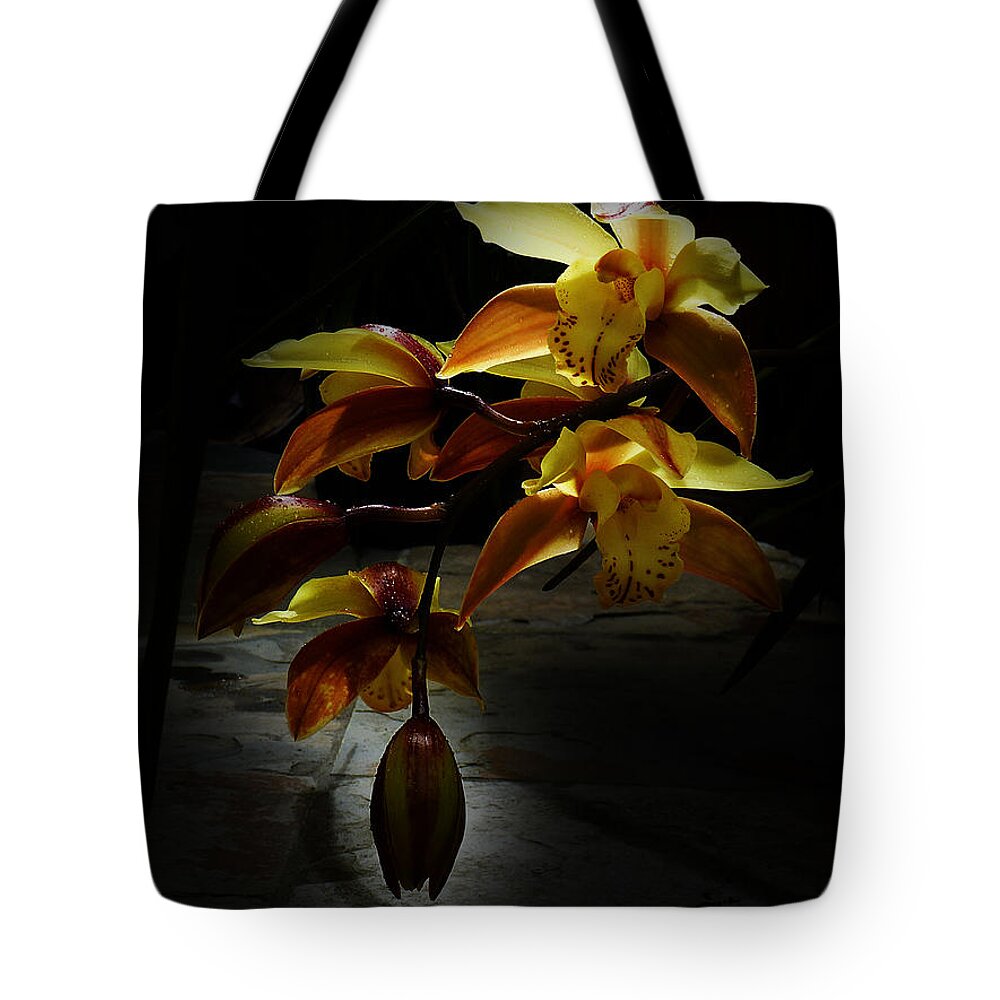 Orchid Tote Bag featuring the photograph My Orchid 2 by Xueling Zou
