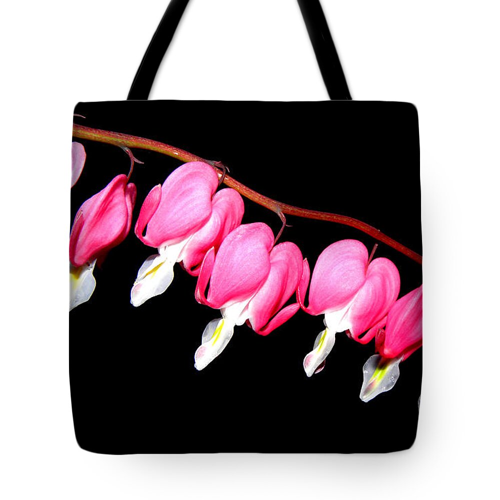 Pink Bleeding Hearts Tote Bag featuring the photograph My Pink Hearts Trail by Kim Galluzzo Wozniak