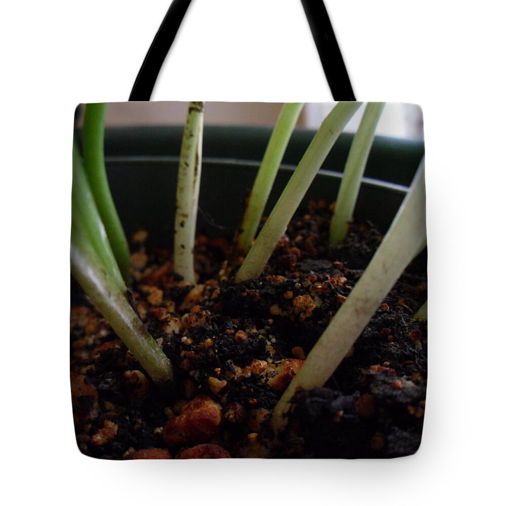  Tote Bag featuring the photograph My room up close 16 by Myron Belfast