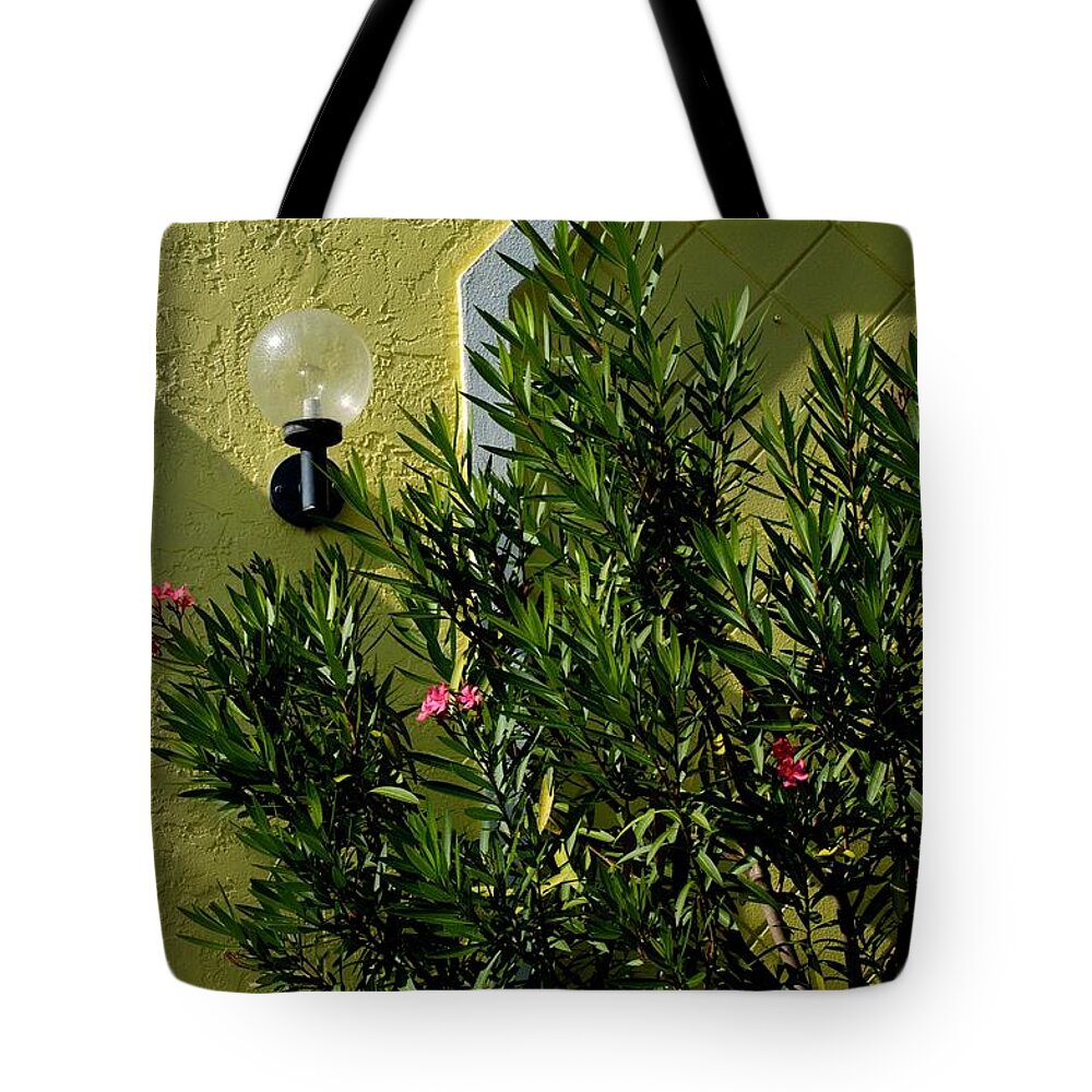 Bouganville Tote Bag featuring the photograph Naples by Joseph Yarbrough