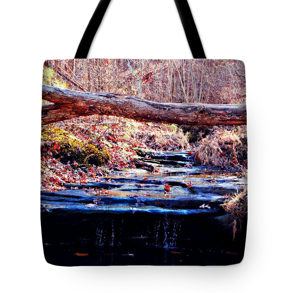 Landscape Tote Bag featuring the photograph Natural Spring Beauty by Peggy Franz