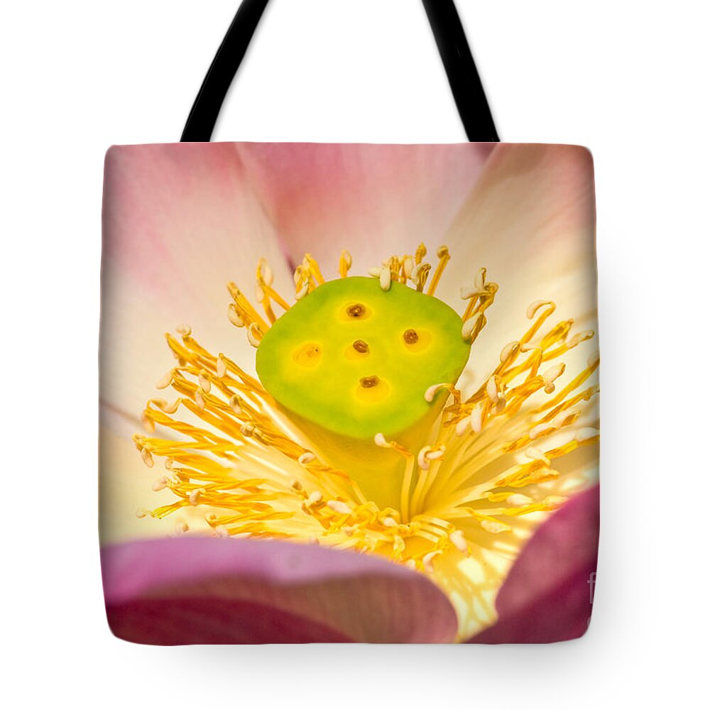Afterglow Tote Bag featuring the photograph Nature by Luciano Mortula