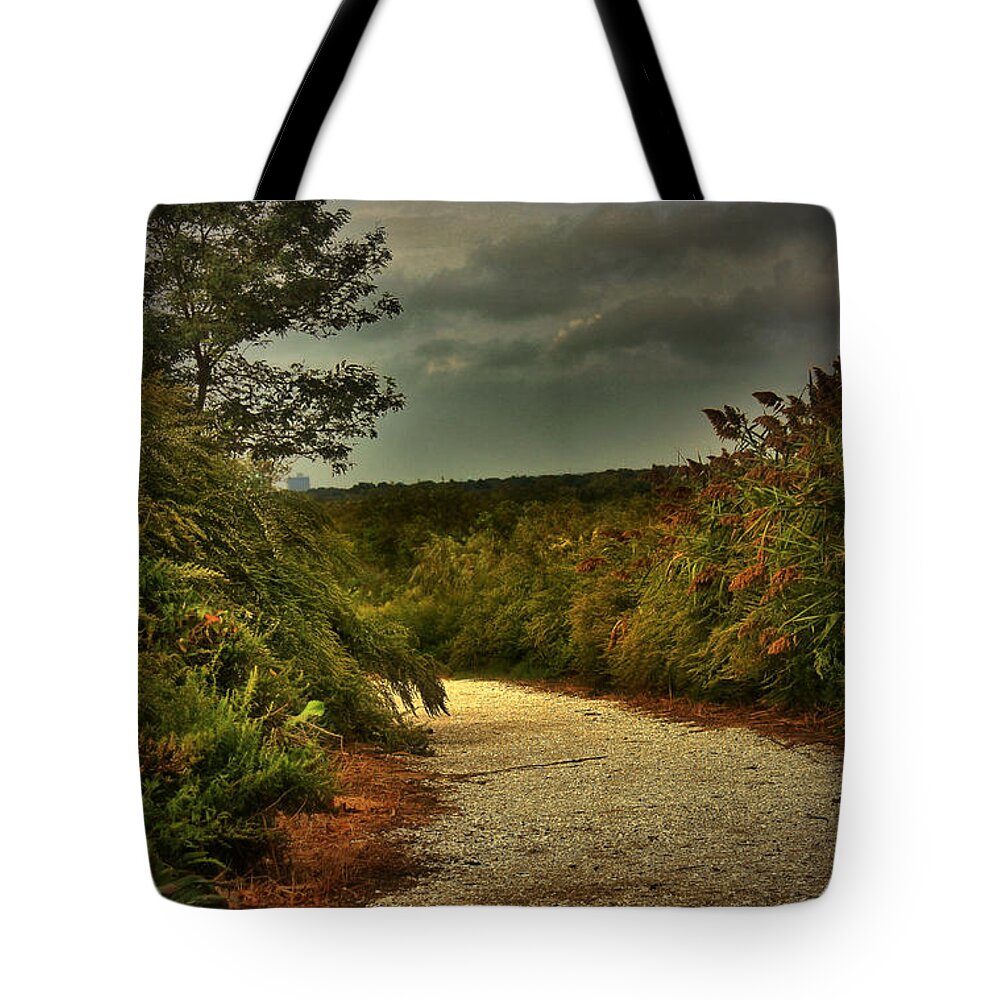 Autumn Tote Bag featuring the photograph Nature Preserve by Mikki Cucuzzo