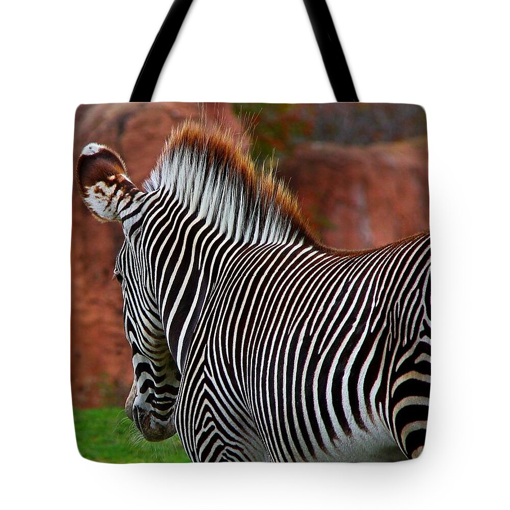 Zebra Tote Bag featuring the photograph Nature's Barcode by Davandra Cribbie