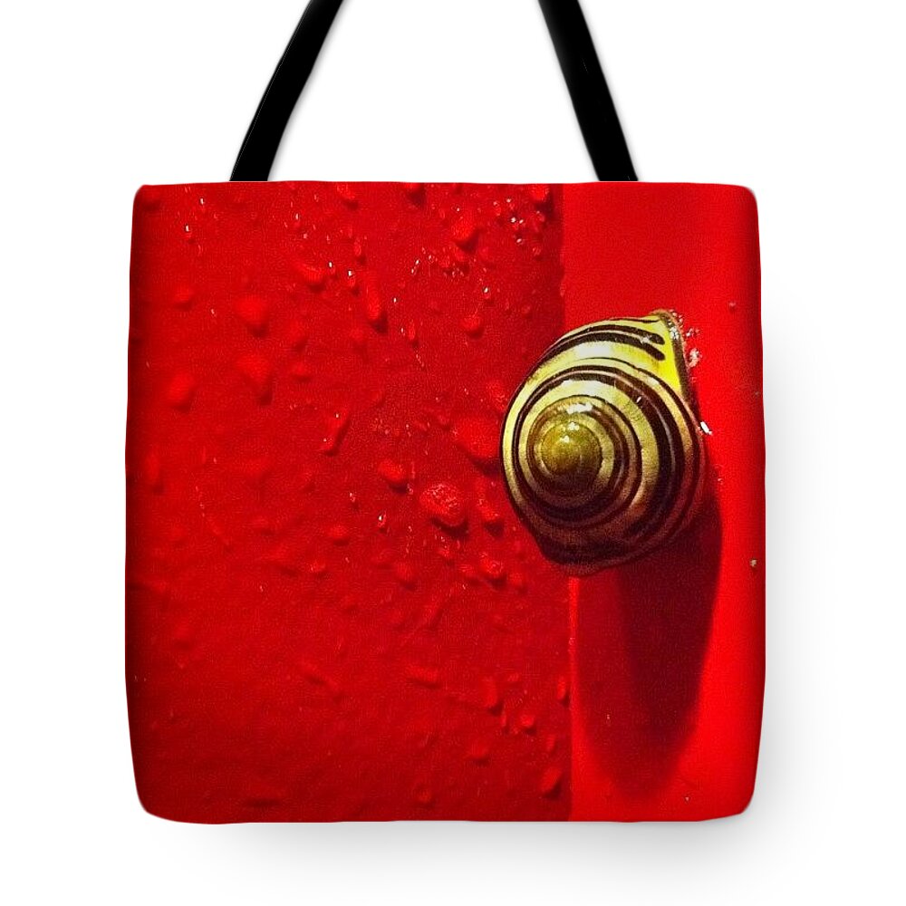Nofilter Tote Bag featuring the photograph Never A Shortage Of #snails Back Here by Katie Cupcakes