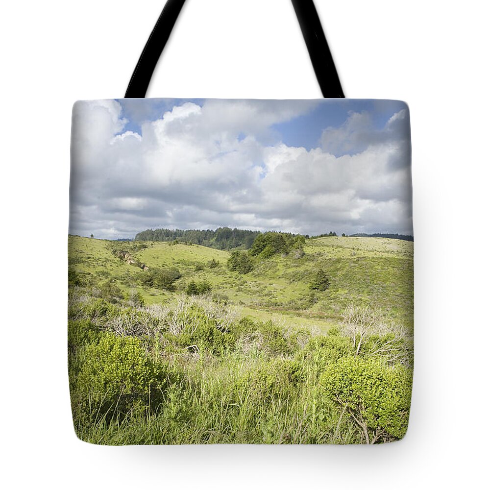 00443000 Tote Bag featuring the photograph Northern Coastal Scrub And Coastal by Sebastian Kennerknecht