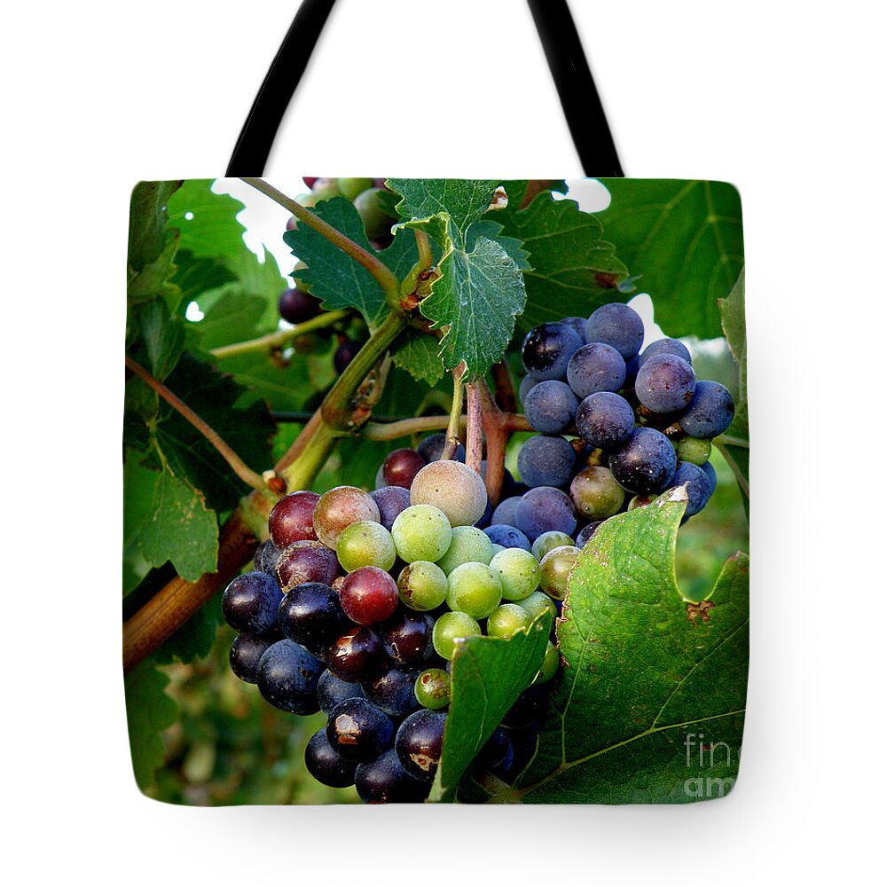 France Tote Bag featuring the photograph Not Yet by Lainie Wrightson