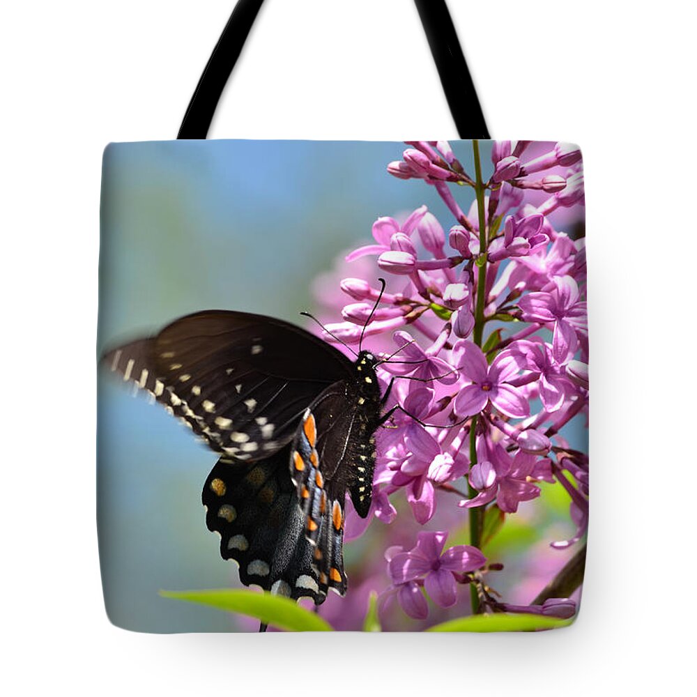 Butterfly Tote Bag featuring the photograph Nothing says Spring like Butterflies and Lilacs by Lori Tambakis