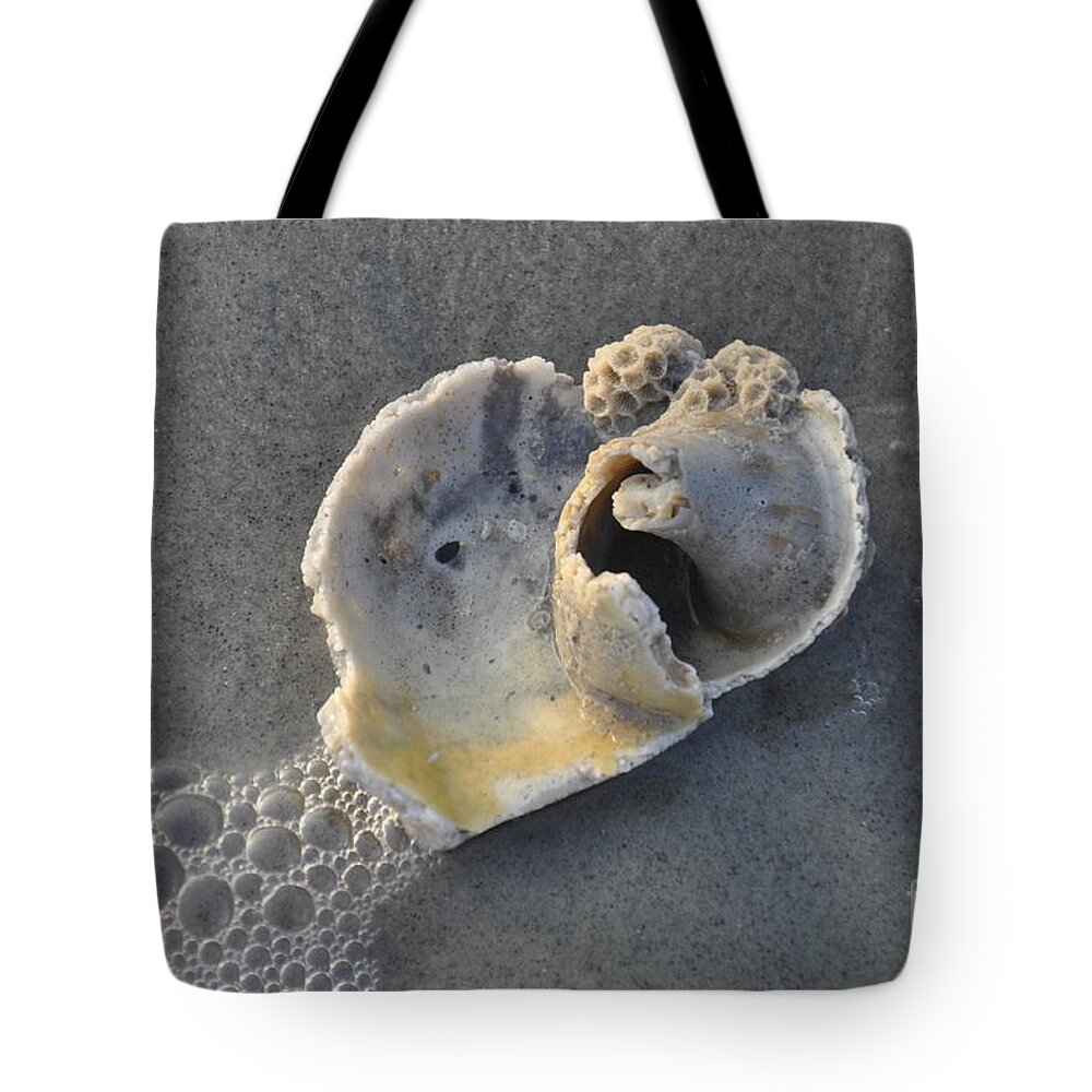 Sea Shell Tote Bag featuring the photograph Ocean's Gift by Cheryl McClure