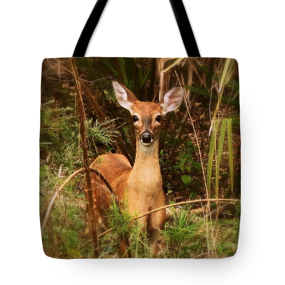 Nature Tote Bag featuring the photograph Oh Deer by Peggy Urban