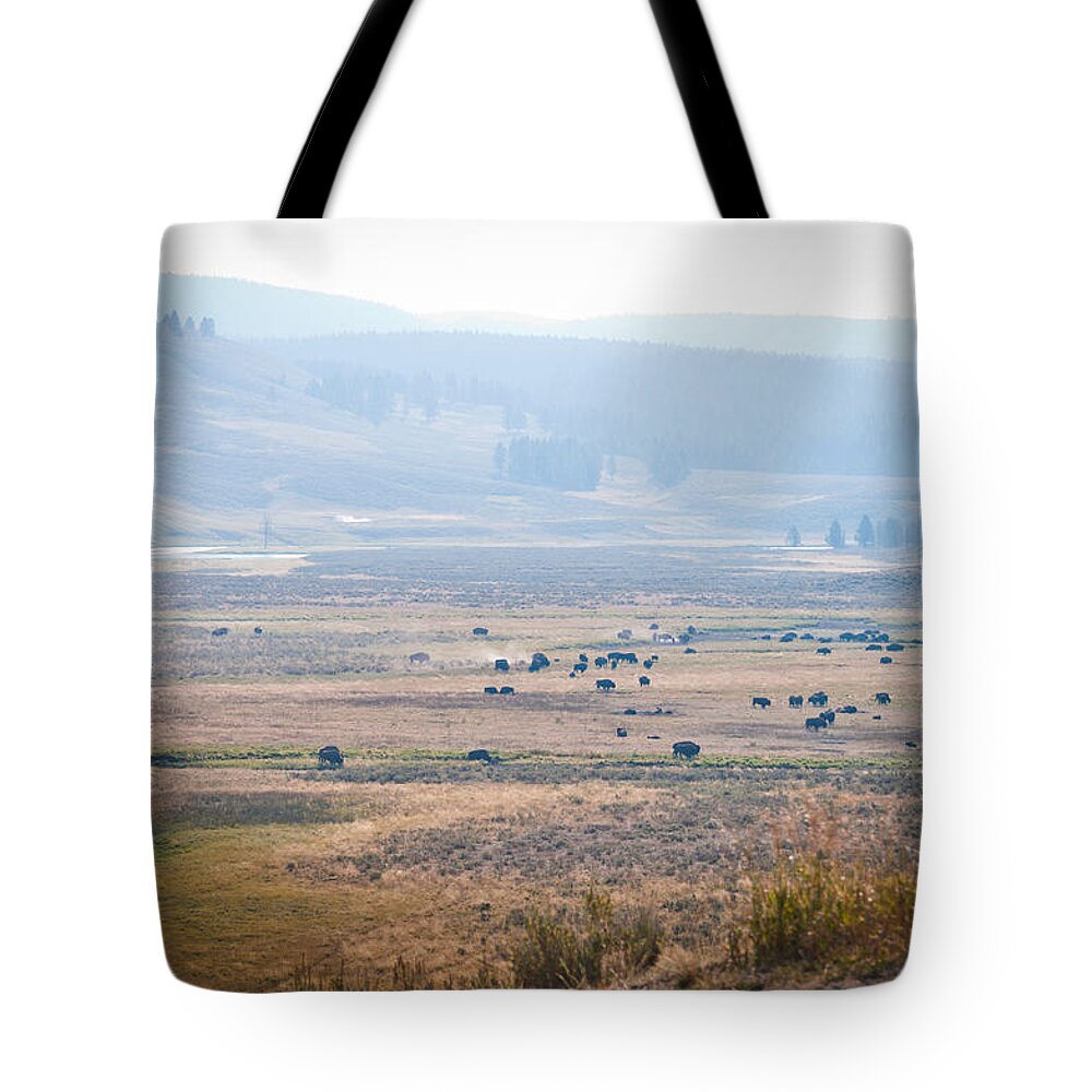 Buffalo Tote Bag featuring the photograph Oh Home on the Range by Cheryl Baxter