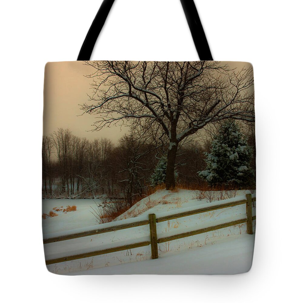 Winter Scene Tote Bag featuring the photograph Old Fashiion Winter by Ed Peterson