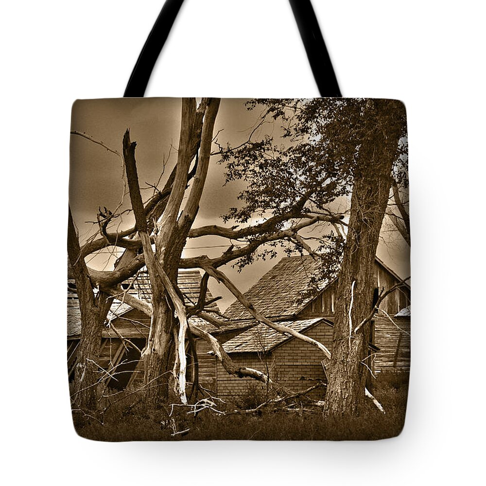 Old Tote Bag featuring the photograph Old Homestead by Shane Bechler