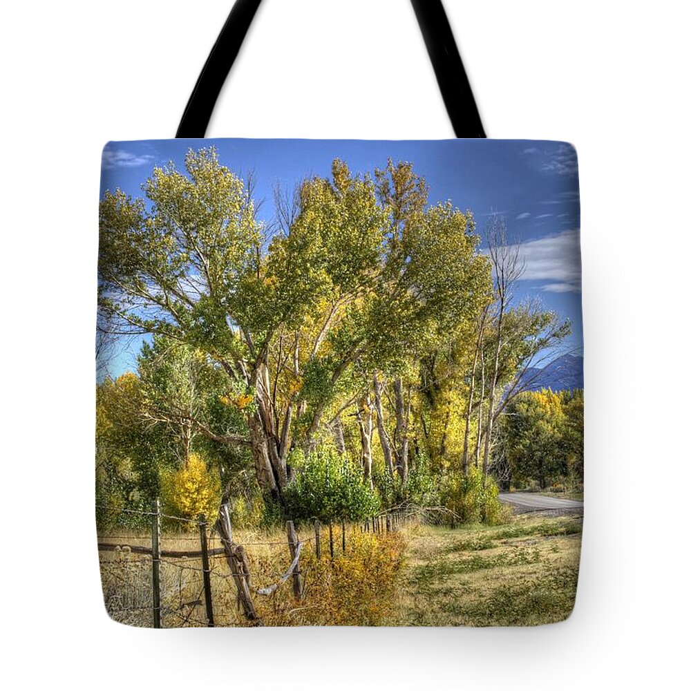 Landscape Tote Bag featuring the photograph Old Ranch Near Bishop by Michele Cornelius