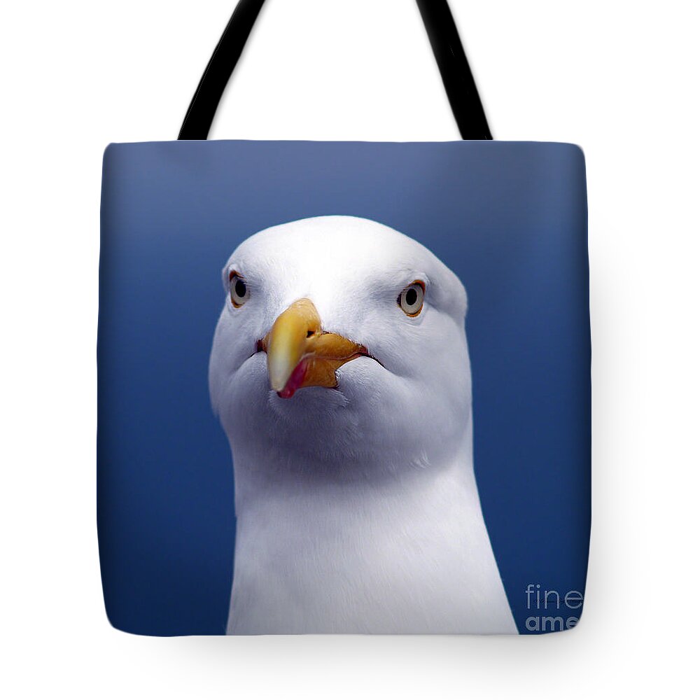 Fine Art Photography Tote Bag featuring the photograph One Strange Bird by Patricia Griffin Brett