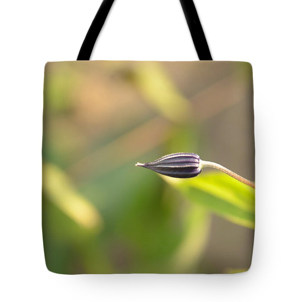 Aberdeen Tote Bag featuring the photograph One's early days by Michael Goyberg