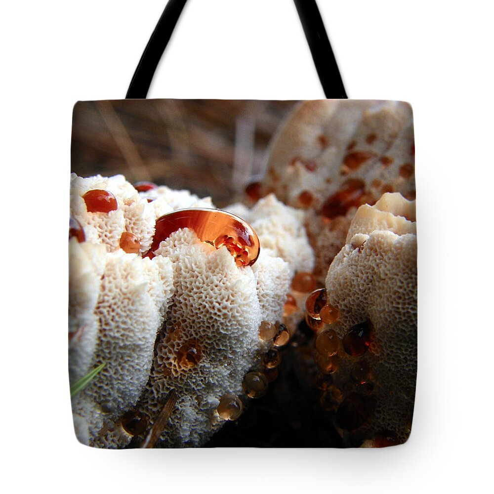 Fungus Tote Bag featuring the photograph Oozing Fungus by Chad and Stacey Hall