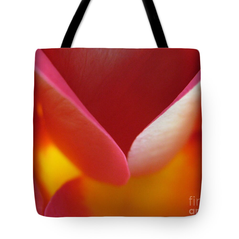 Rose Tote Bag featuring the photograph Open Arms by Stacey Zimmerman