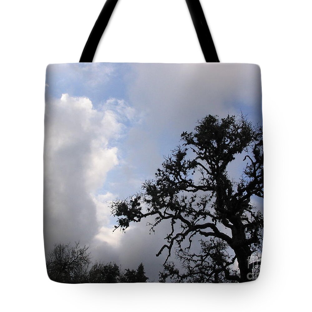 Deer Season Tote Bag featuring the photograph Opening Weekend by Mark Robbins