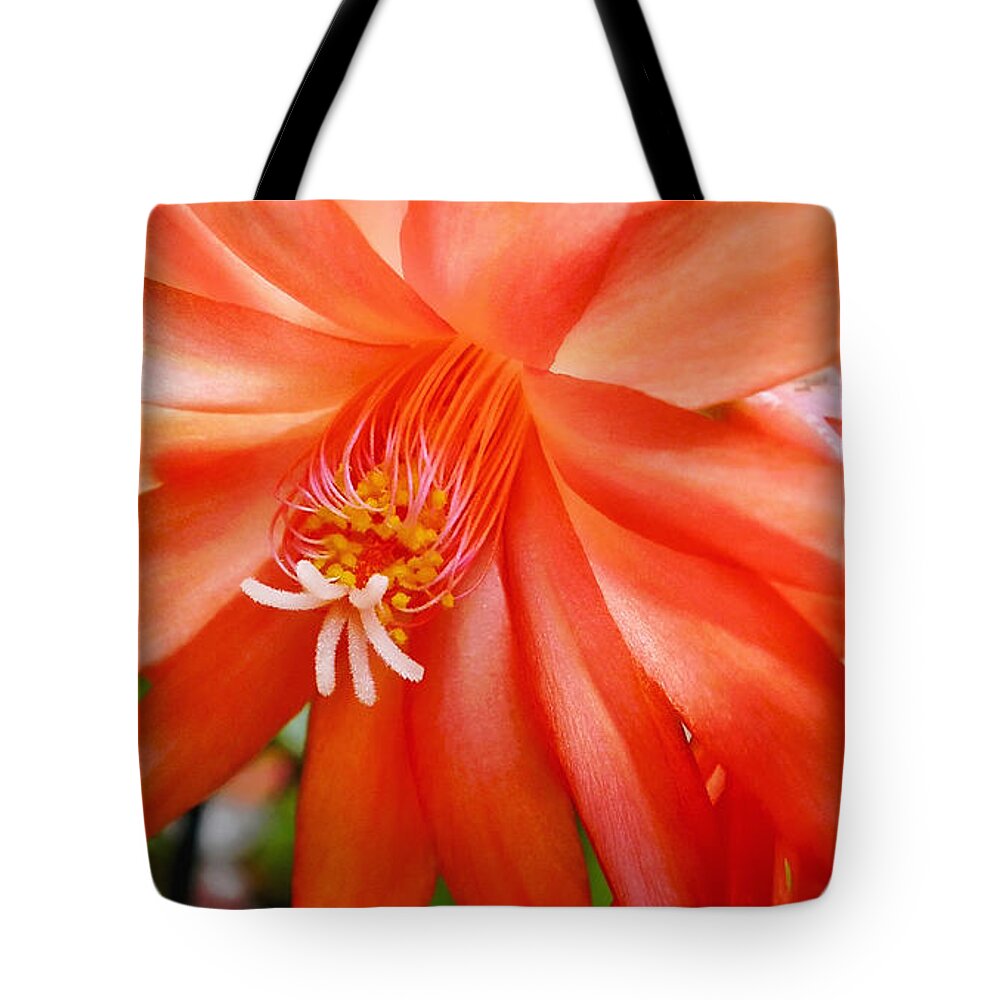 Photography Tote Bag featuring the photograph Orange Cactus by Kaye Menner