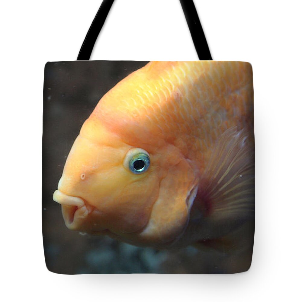 Fish Tote Bag featuring the photograph Orange by Milena Boeva