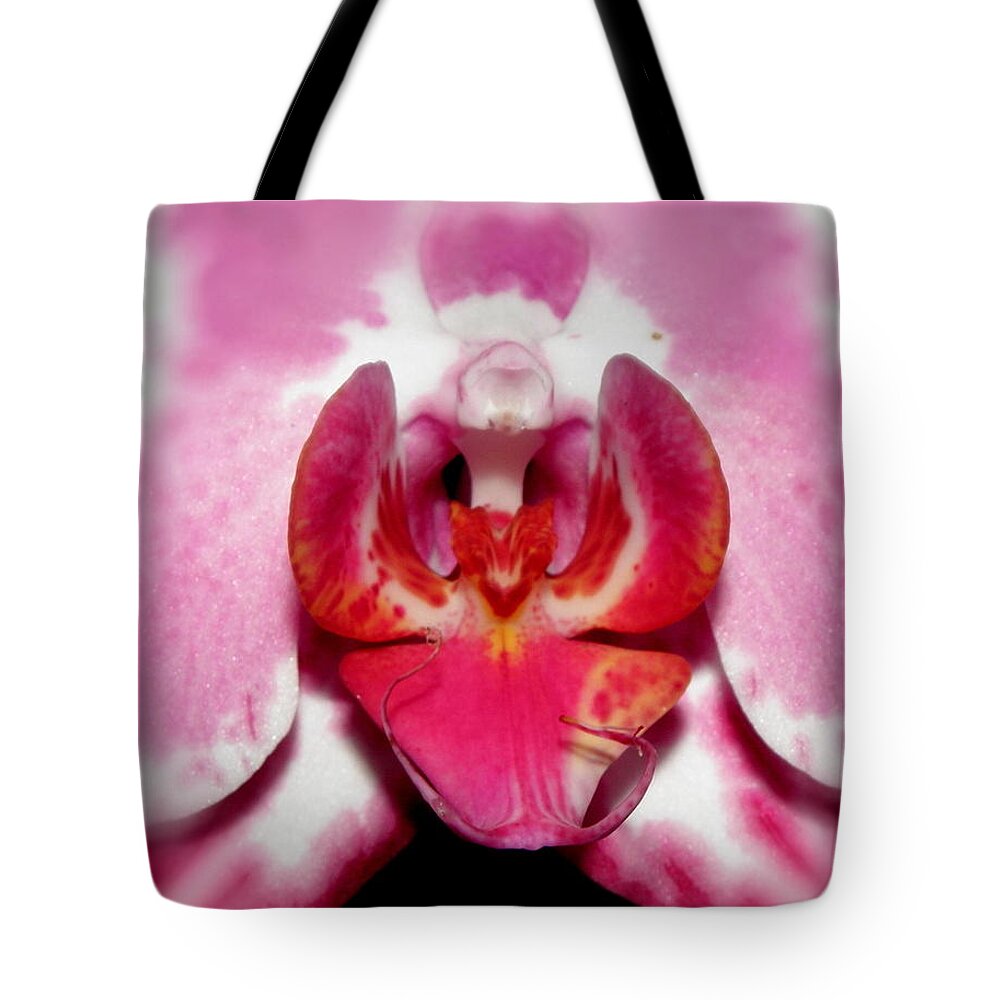 Orchid Tote Bag featuring the photograph Orchid Glow by Kim Galluzzo