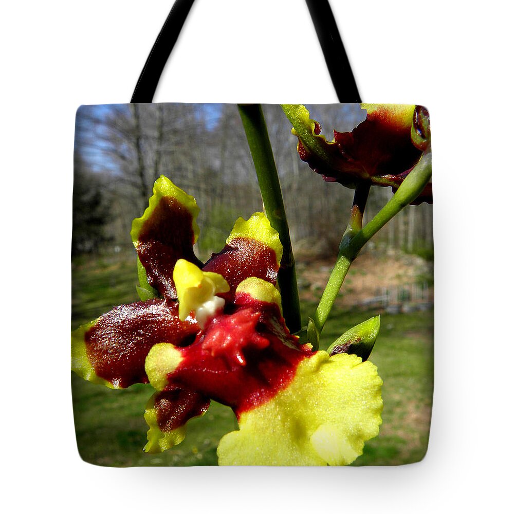 Orchid Tote Bag featuring the photograph Orchid In Nature by Kim Galluzzo