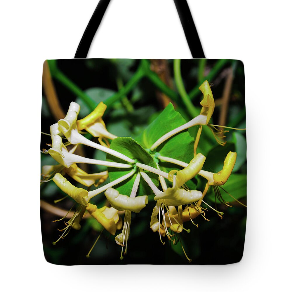 Closeup Tote Bag featuring the photograph Overblown Perfoliate by Michael Goyberg