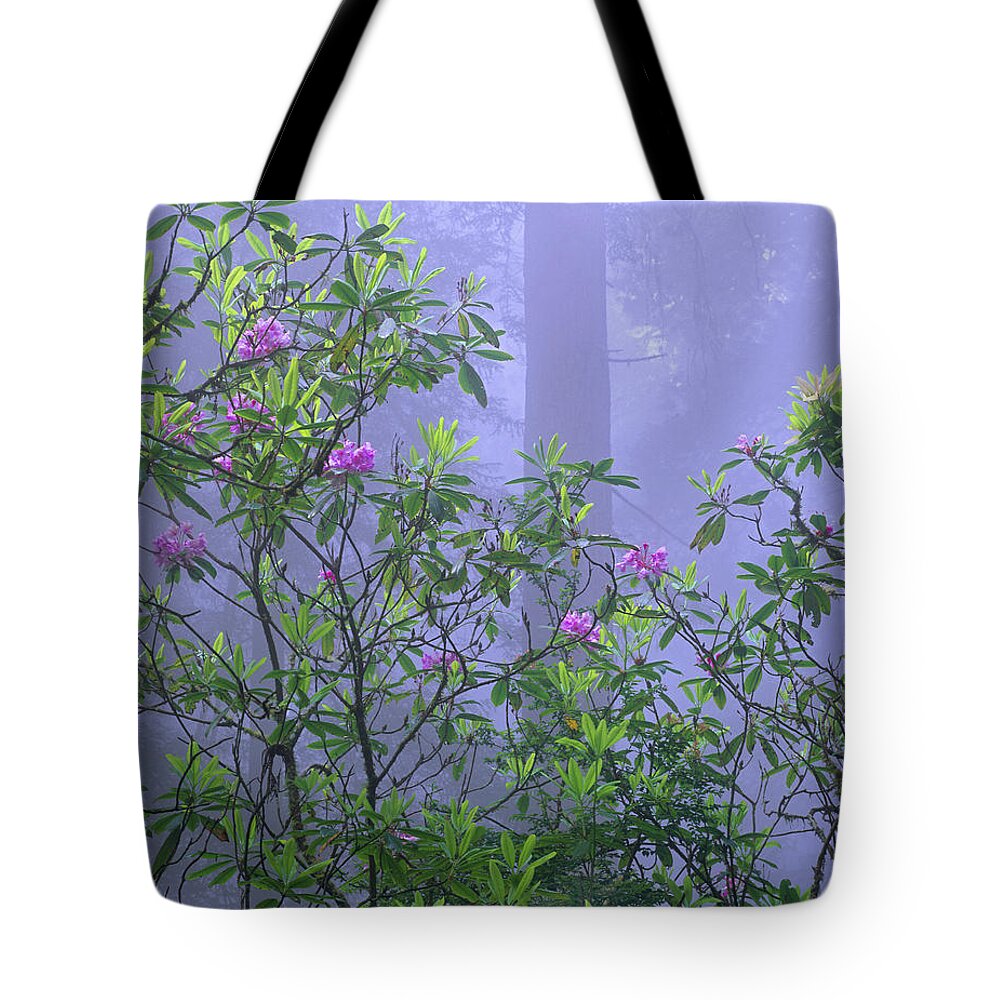 00175749 Tote Bag featuring the photograph Pacific Rhododendron Flowering In Misty by Tim Fitzharris