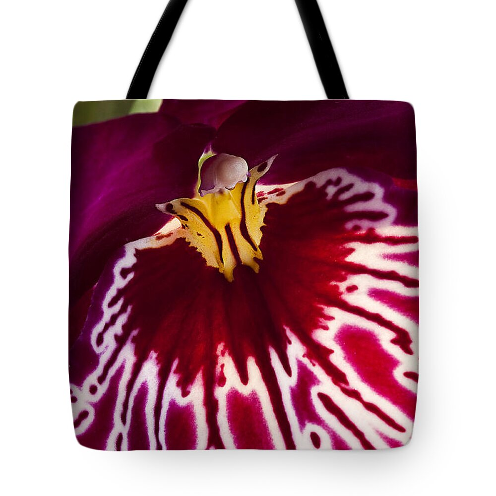 Flower Tote Bag featuring the photograph Painted Orchid ll by Shirley Mitchell