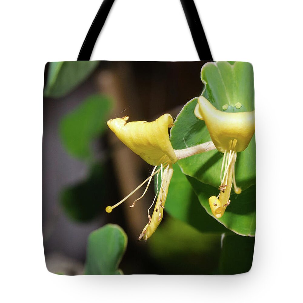 Closeup Tote Bag featuring the photograph Pair by Michael Goyberg