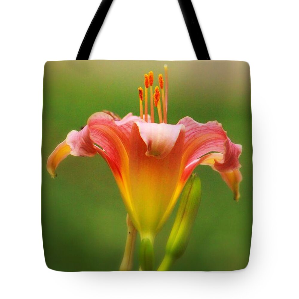 Flower Tote Bag featuring the photograph Pastel Lilyform by Deborah Crew-Johnson