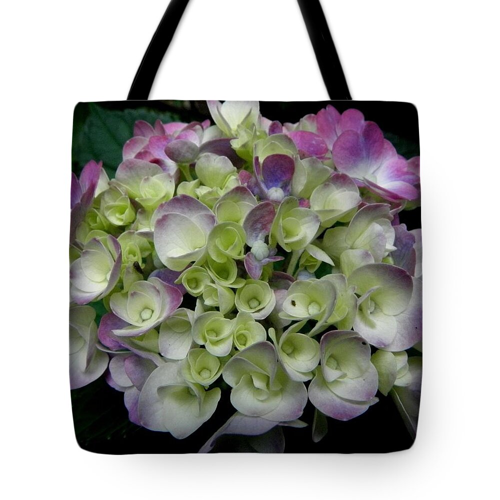 Hydrangea Tote Bag featuring the photograph Pastel Swirls by Kim Galluzzo Wozniak