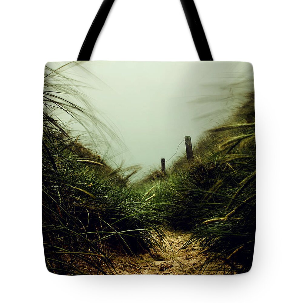 Seascape Tote Bag featuring the photograph Path Through The Dunes by Hannes Cmarits