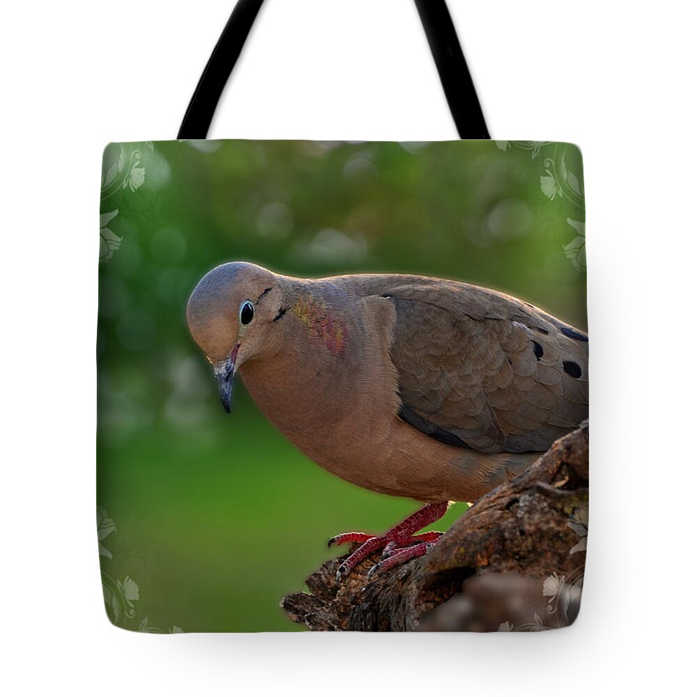 Peaceful Morning Dove Greeting card size blank Tote Bag by Debbie Portwood  - Pixels