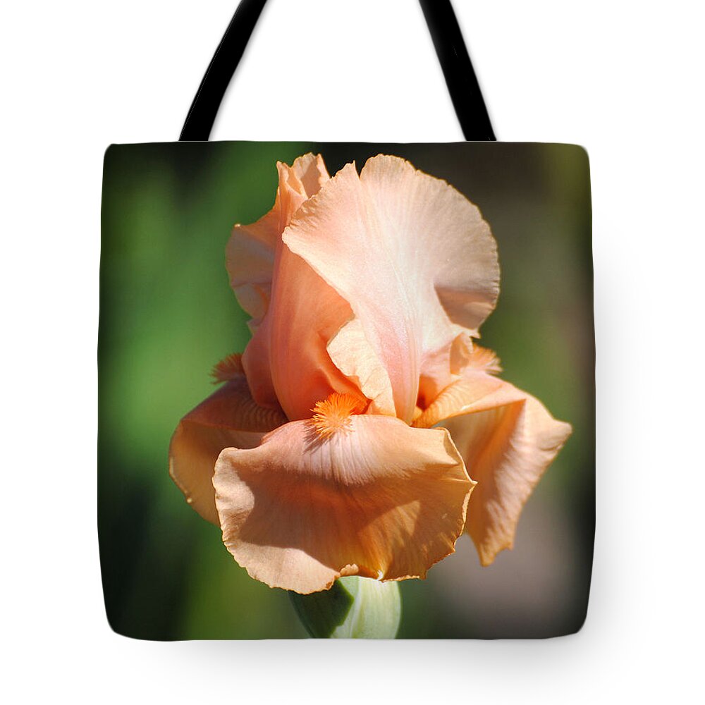 Beautiful Iris Tote Bag featuring the photograph Peach Iris Flower II by Jai Johnson