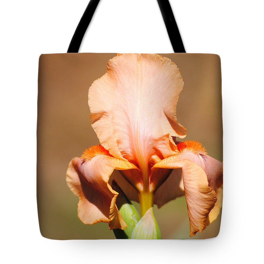 Beautiful Iris Tote Bag featuring the photograph Peach Iris Flower by Jai Johnson