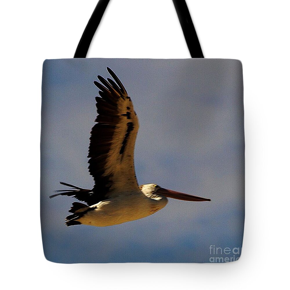 Australia Tote Bag featuring the photograph Pelican in flight by Blair Stuart