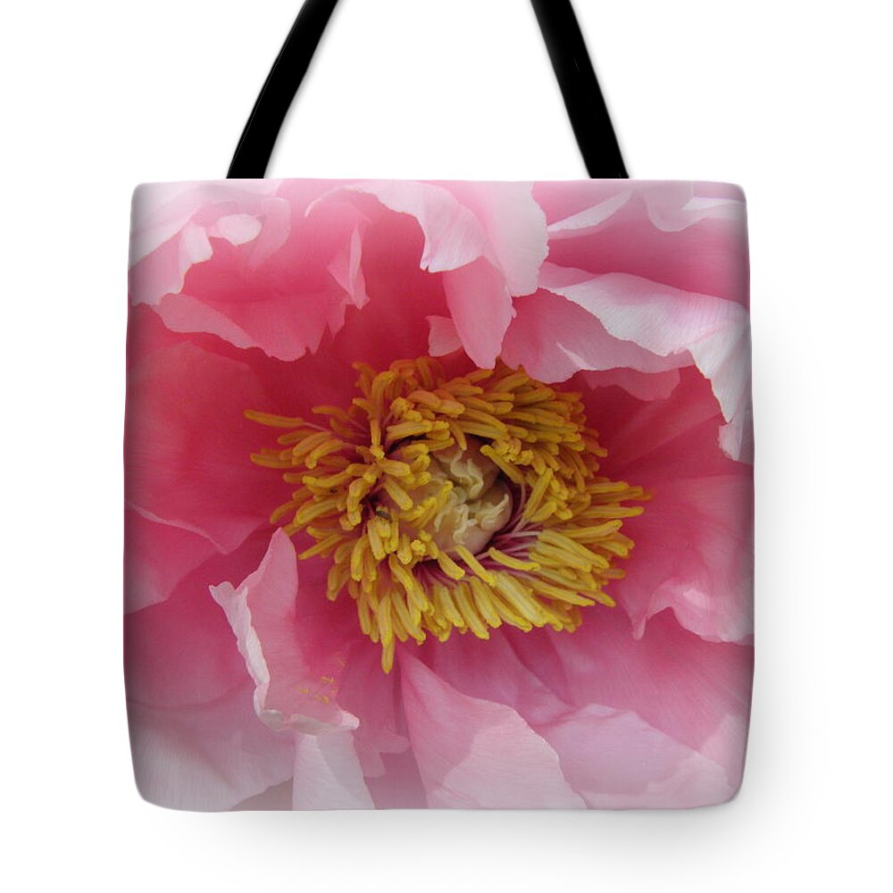 Peony Tote Bag featuring the photograph Peony by Kim Galluzzo